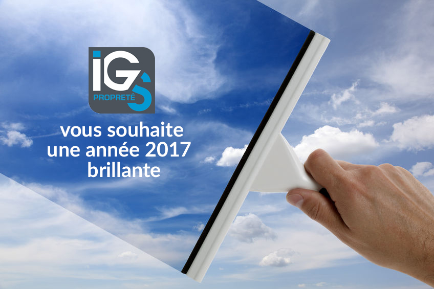 Une année 2017 brillante